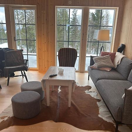 Åre Mountain Holiday Homes - Ottsjoe, Trillevallen -Sweden מראה חיצוני תמונה