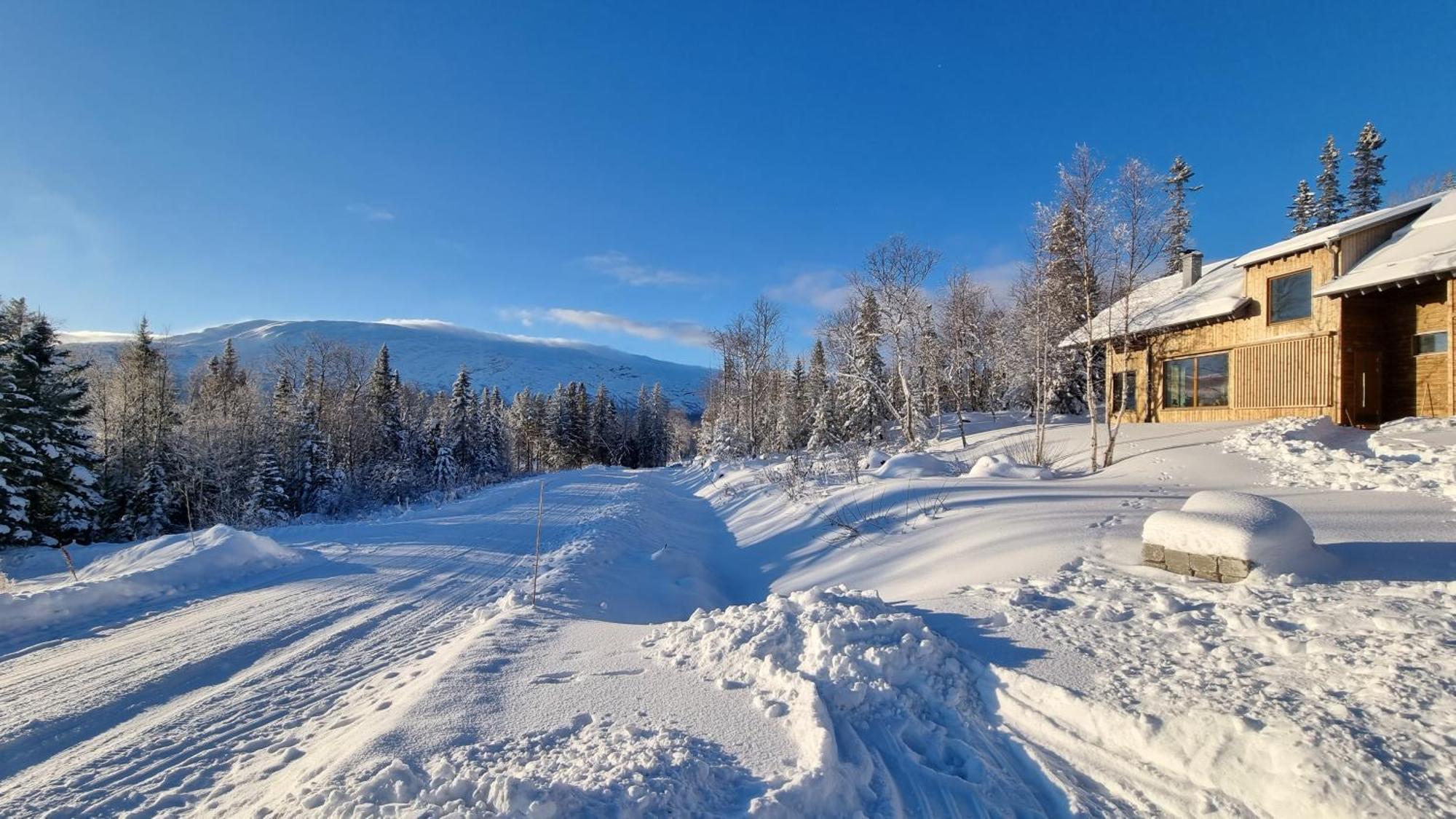 Åre Mountain Holiday Homes - Ottsjoe, Trillevallen -Sweden חדר תמונה