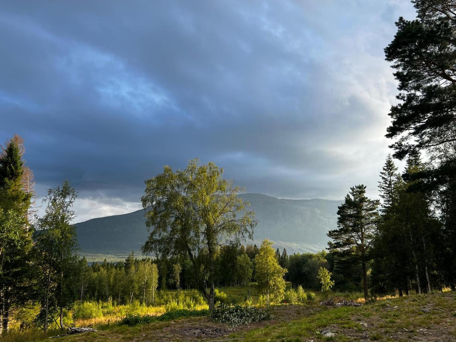 Åre Mountain Holiday Homes - Ottsjoe, Trillevallen -Sweden חדר תמונה